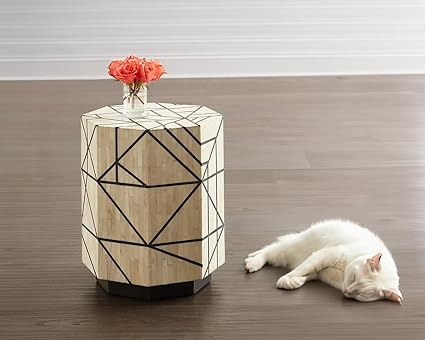 Handmade Bone Inlay Side Table | Premium Bone End Table for Living Room Bedroom | Luxury Bone Furniture